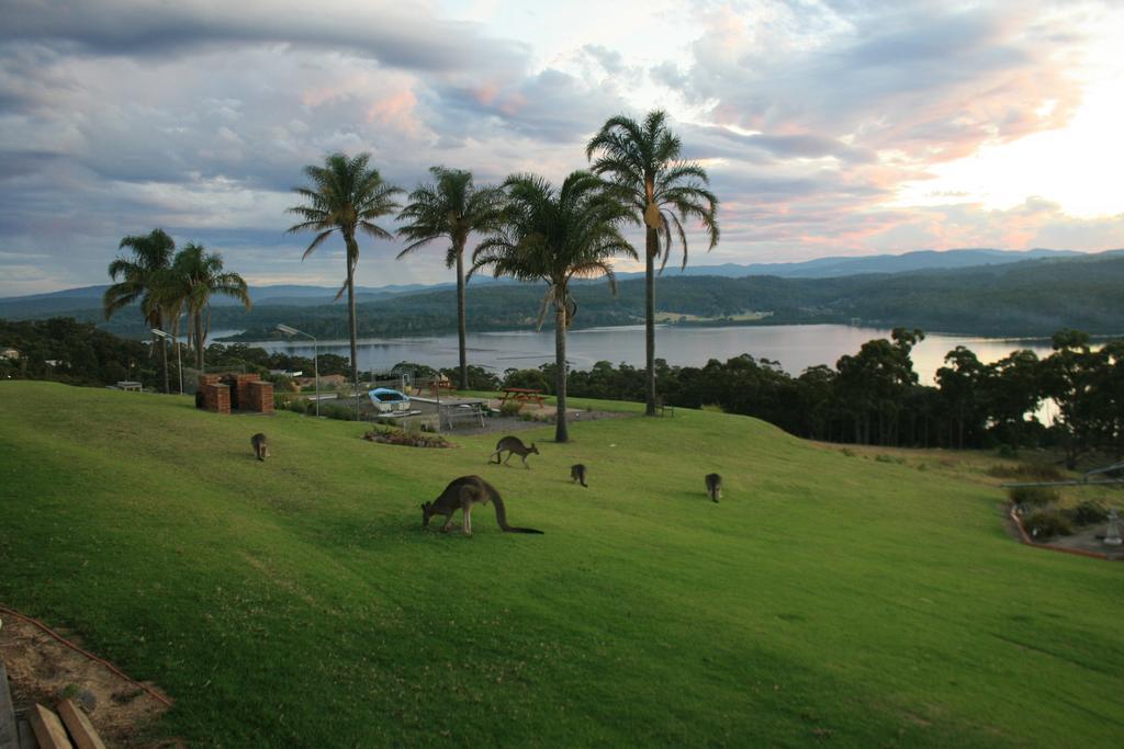 Norfolk Pines Motel Merimbula Luaran gambar